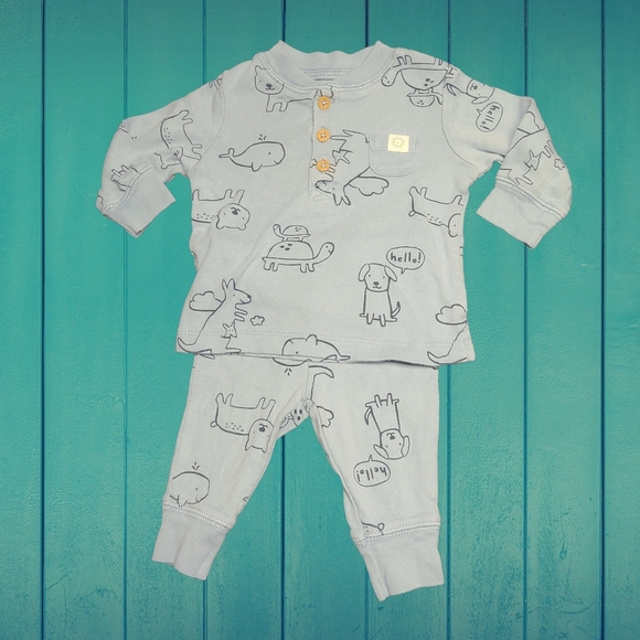 Two Piece Animal outfit - Picture 1 of 1